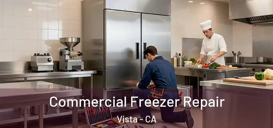 Commercial Freezer Repair Vista - CA