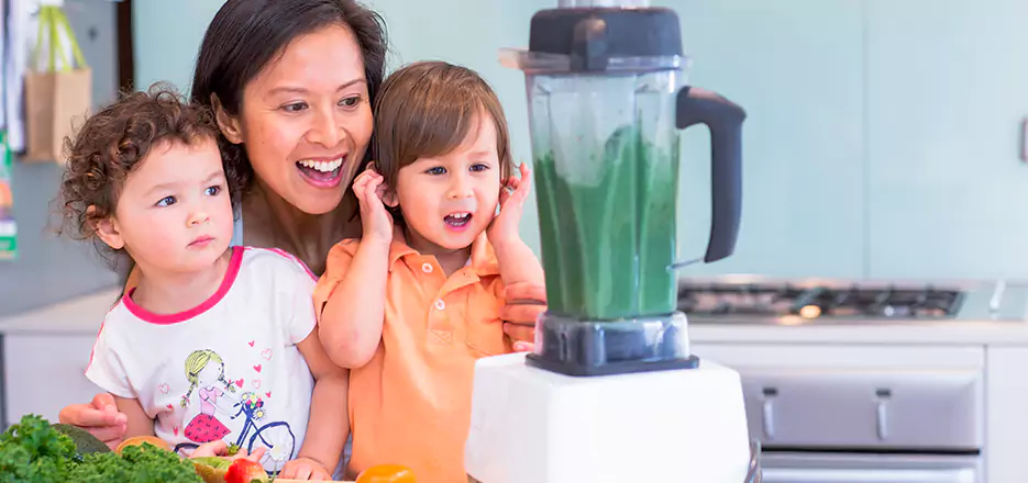 Juicer and Mixer Blender Repair in Vista
