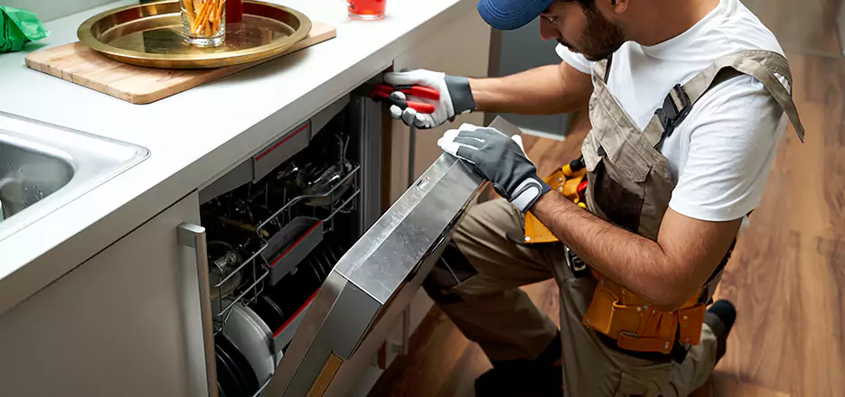 Same Day Dishwasher Not Draining Repair in Vista